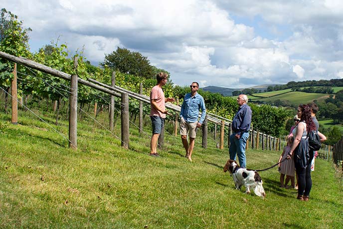 A group of people and a dog taking a tour of Alder Vineyard in Devon