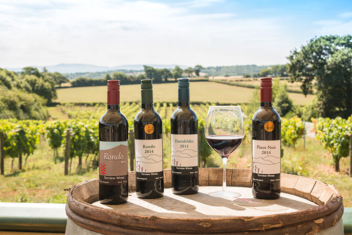 A selection of the red wines on offer from Torview Wines, one of the best vineyards in Devon