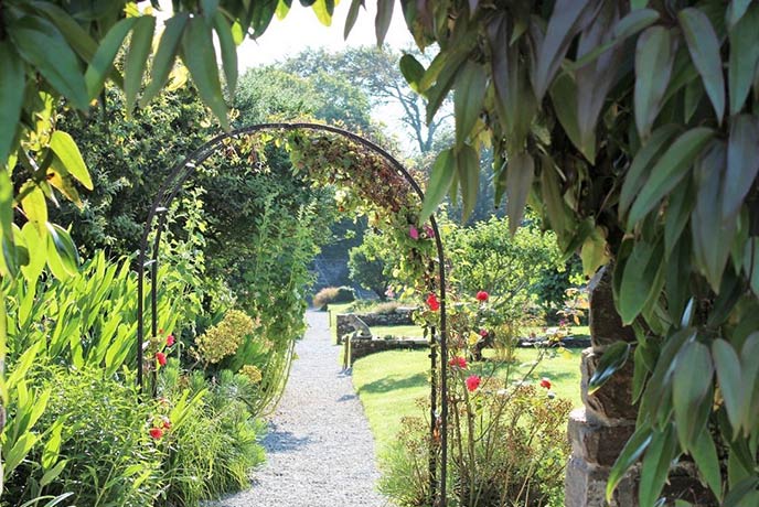 Looking down the garden path at Clovelly Gardnes