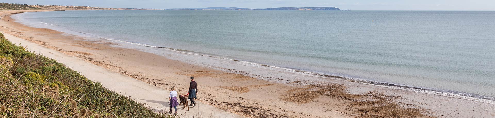 Dog-friendly beaches in Dorset