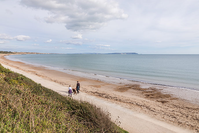 Dog-friendly beaches in Dorset