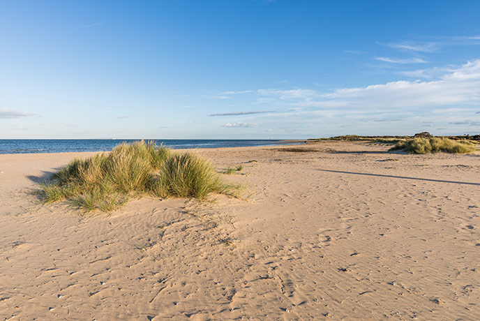 The golden sand and dunes at Shell Bay in Studland on the Dorset Coast