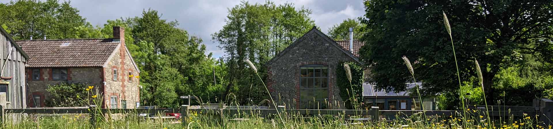 Classic Cottages supports Dorset Wildlife Trust