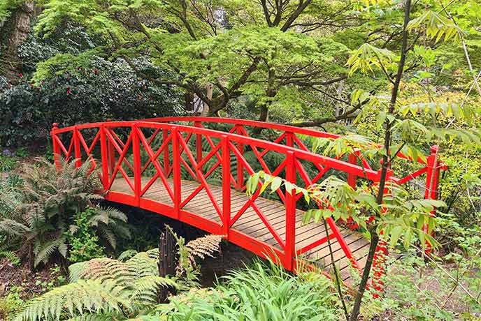 A red Japanese style bridge in the middle of Abbotsbury Subtropical Gardens in Dorset