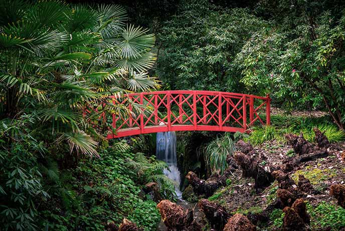 A beautiful red bridge surrounded by plants at Abbotsbury Subtropical Gardens in Dorset