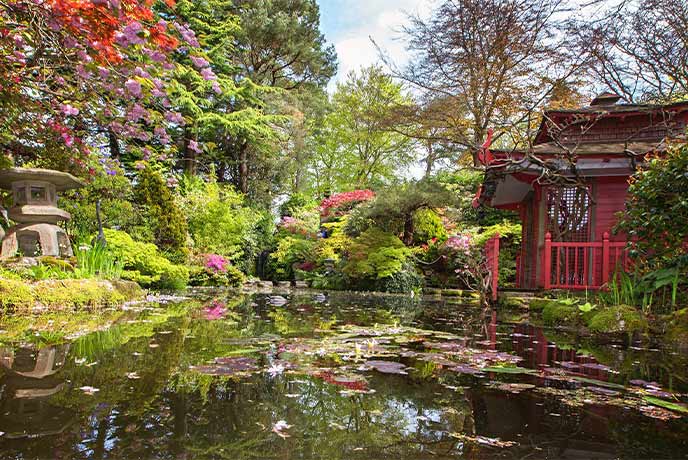 A beautiful Japanese garden with a pool and building at Compton Acres in Dorset