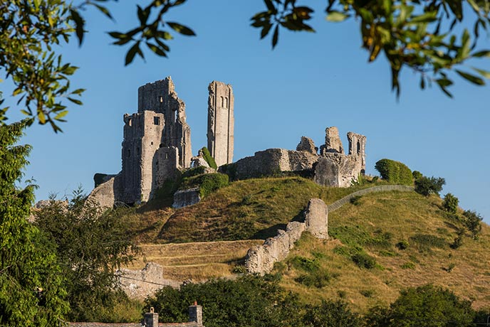 Looking through a gap in the branches at the ancient ruins of Corfe Castle