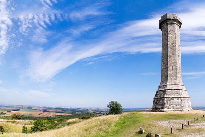 The famous Hardy Monument towering over the patchwork of Dorset countryside
