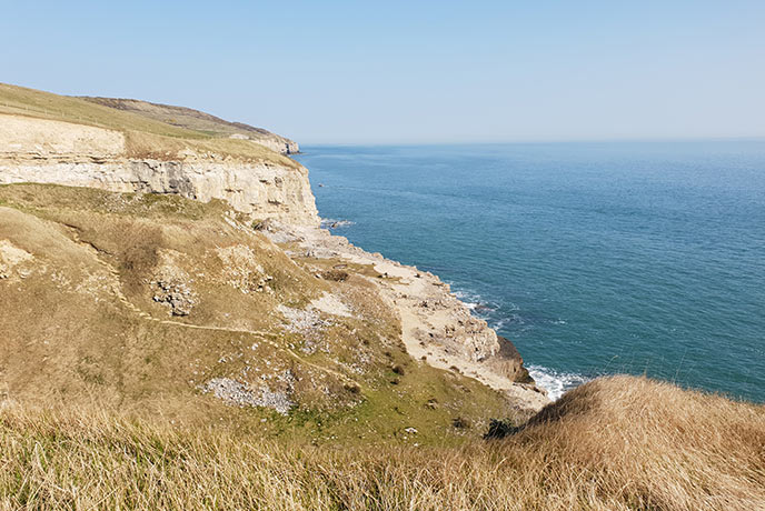 Looking down the cliff at the remarkable Dancing Ledge jutting out to sea