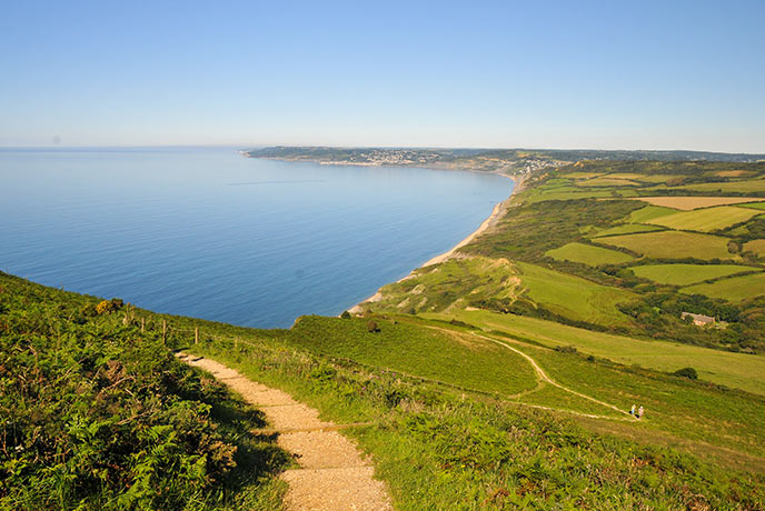 The view from Golden Cap across the coast and countryside