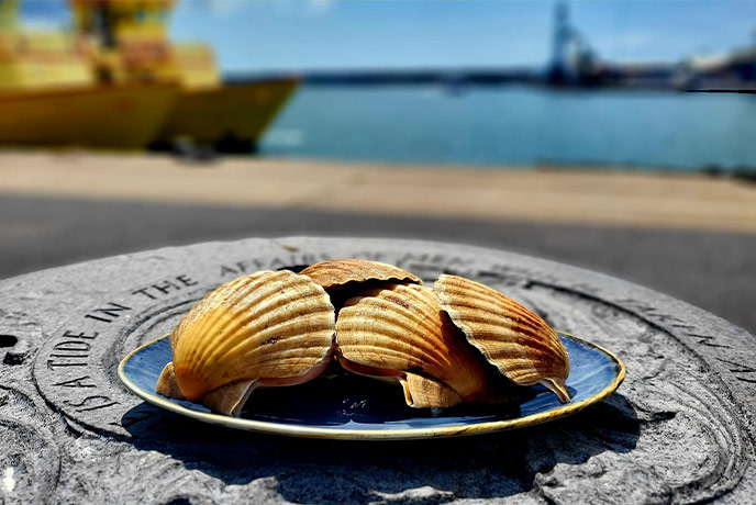 A plate of fresh scallop shells at Oriel on the Quay in Dorset