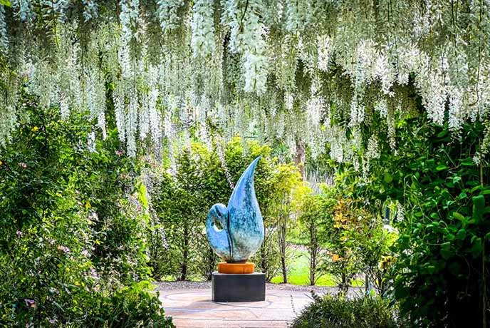 A sculpture through an arch of wisteria at Sculpture by the Lakes in Dorset