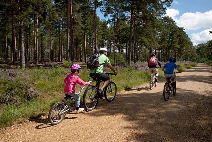A family riding their bikes through Moors Valley Country Park, one of the best bike rides in Dorset