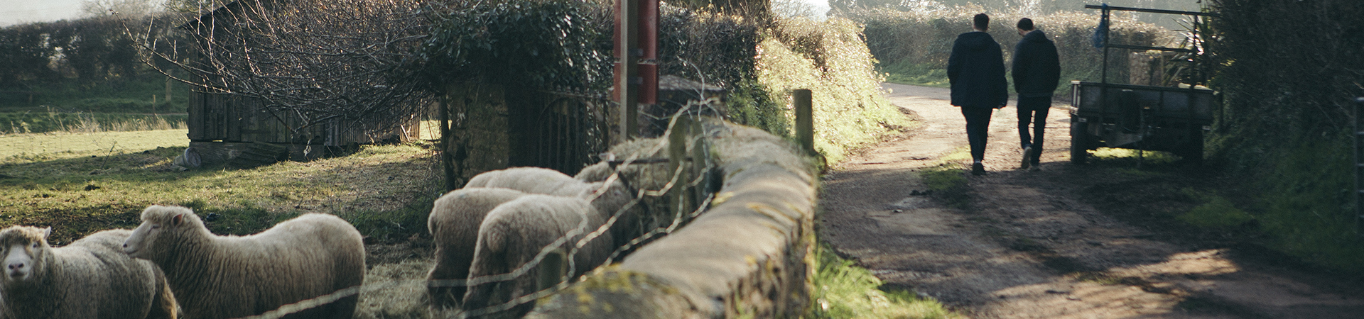 Holiday cottages on farms in North Devon