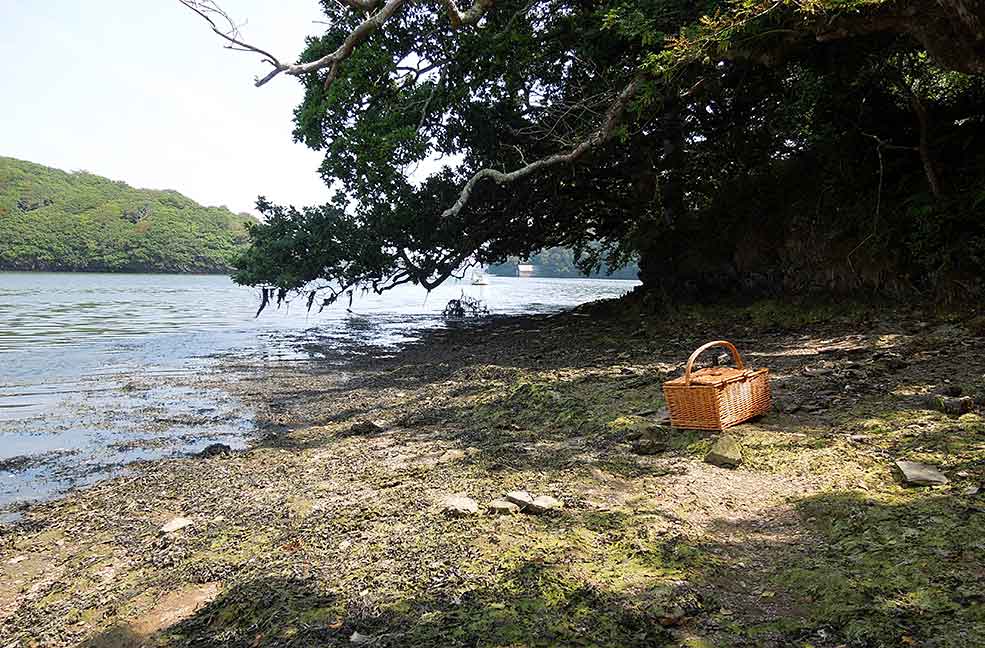 A hamper on a river bank