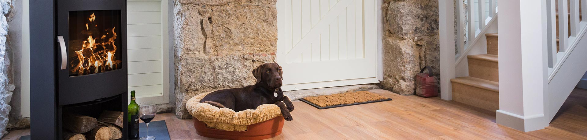Best dog-friendly holiday cottages in Sussex