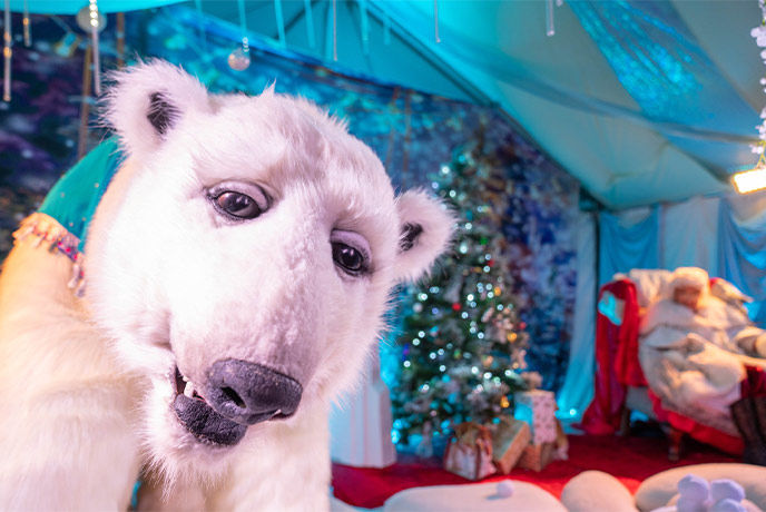 The famous Polar Bear at Robin Hill's incredible Christmas event