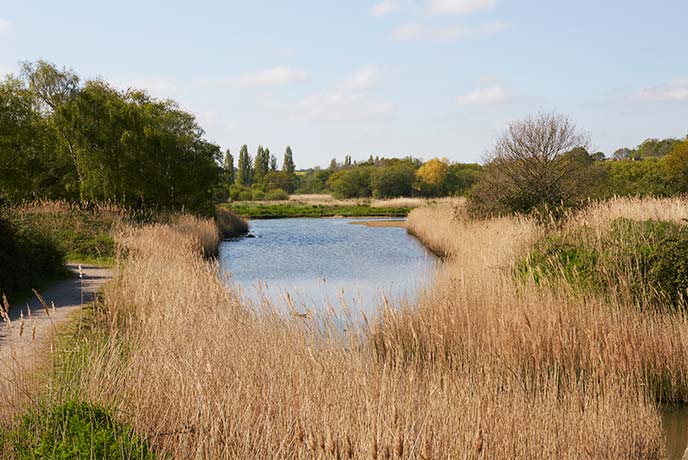 Looking out across a small body of water surrounded by reeds and trees at the Alan Hersey Nature Reserve in Seaview on the Isle of Wight