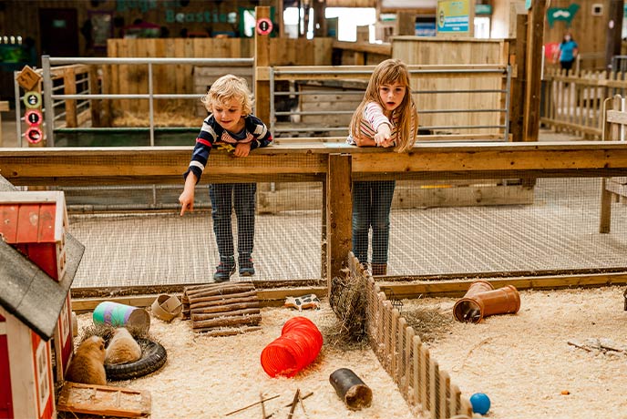 Two children looking into the rabbit enclosure at the petting zoo at Tapnell Farm Park on the Isle of Wight