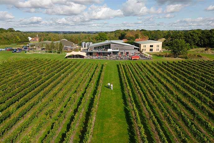 A bird's eye view of the beautiful Balfour Winery vineyard in Kent