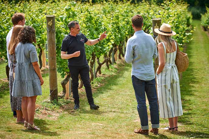 People enjoying a vineyard tour at Chapel Down vineyard in Kent