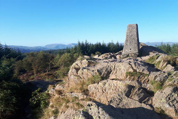Carron Crag, the highest point of Grizedale Forest in the Lake District