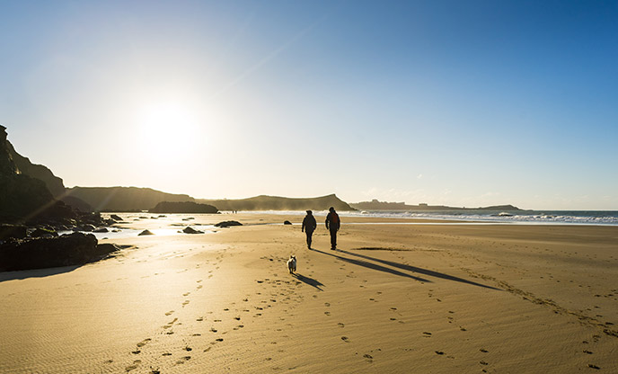 Beach walks