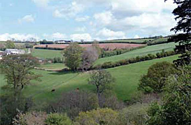 Little Oak Barn view