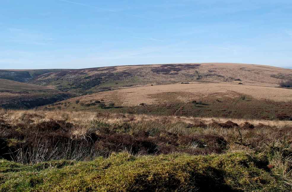 A Guide to Holidays in Exmoor