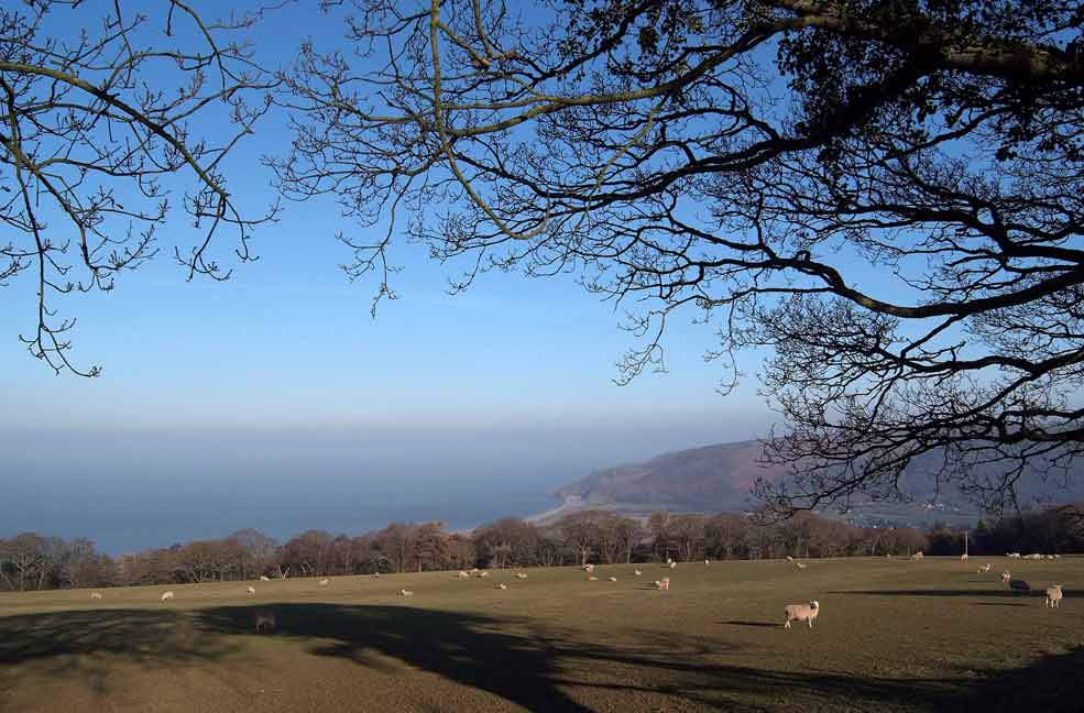 Porlock coastline