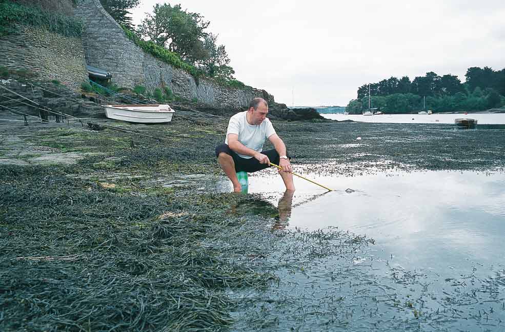 Fishy Foraging