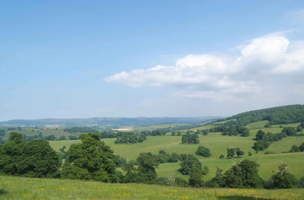 Quantock hills