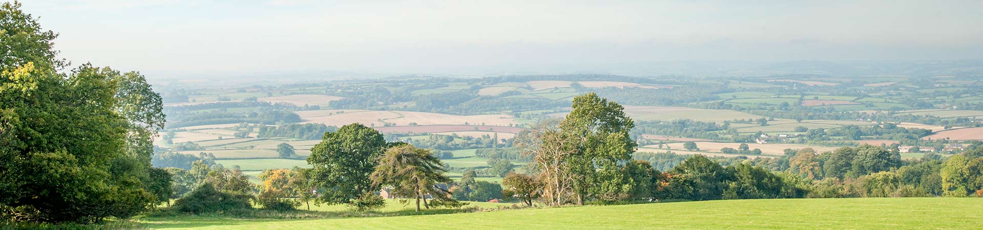 Explore Somerset for free