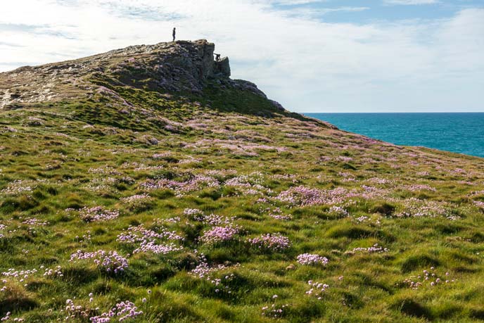 Off the beaten track near Newquay