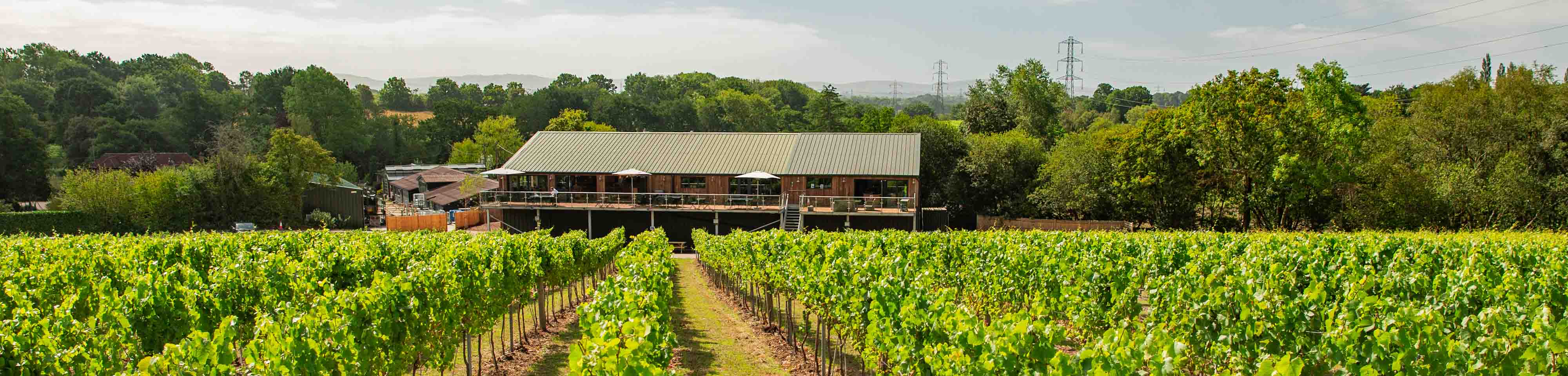 A very idyllic English wine experience - Bolney Wine Estate