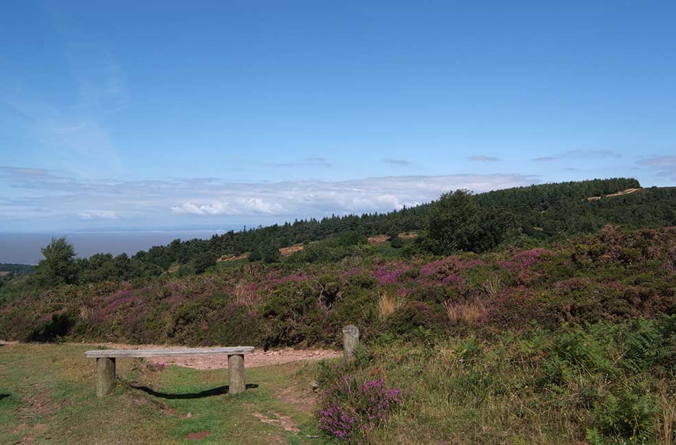 Rest on a Quantock walk