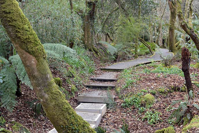 Step into the jungle at Tremenheere Sculpture Gardens near Penzance.