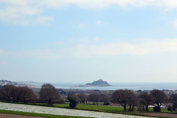 Amazing views of St Michaels Mount from Tremenheere gardens.