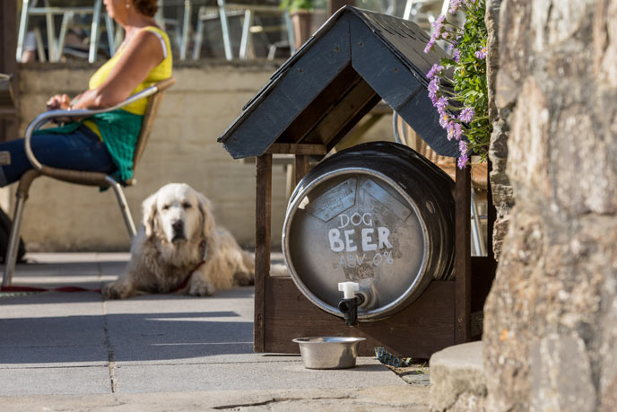 Pub trips with the dog don't get better than this