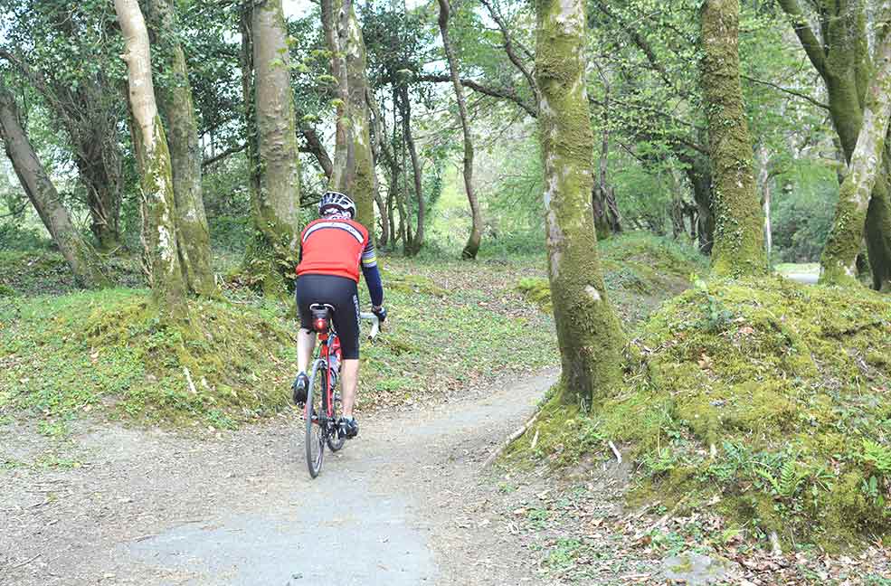 The flat paths and pretty routes make for great cycling on the West Devon way.