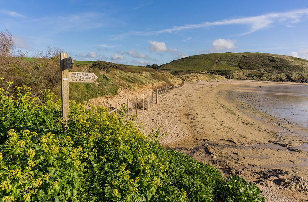 The golden sands of Daymer Bay welcome dogs all year round including throughout the summer in Cornwall.