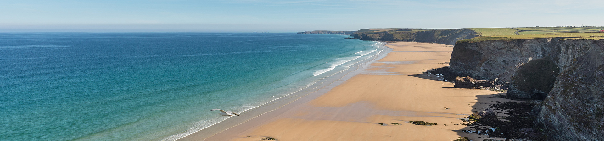 6 Stunning Cornish beaches your dog is allowed on in summer