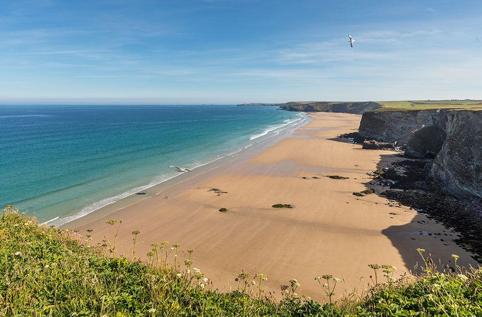 6 Stunning Cornish beaches your dog is allowed on in summer