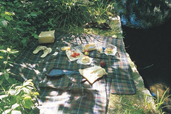 Picnic at Yealmpton