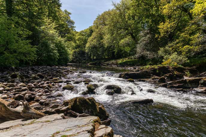 The River Dart near Buckfastleigh and Ashburton, south Devon