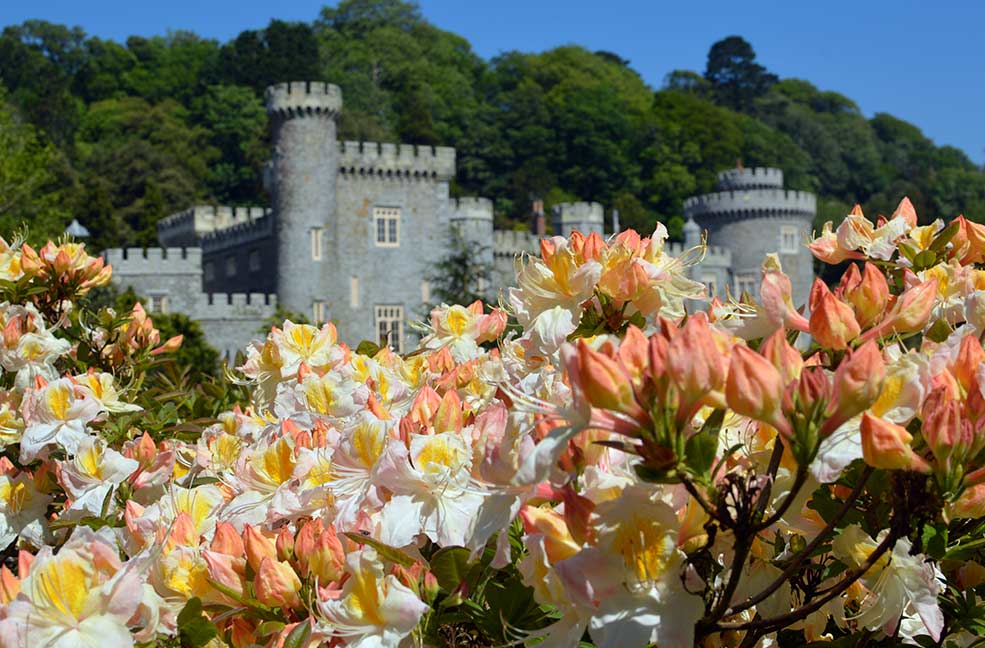 Everywhere you go on the estate there are plants and flowers. The entire estate is kept beautiful by a small team of gardeners.