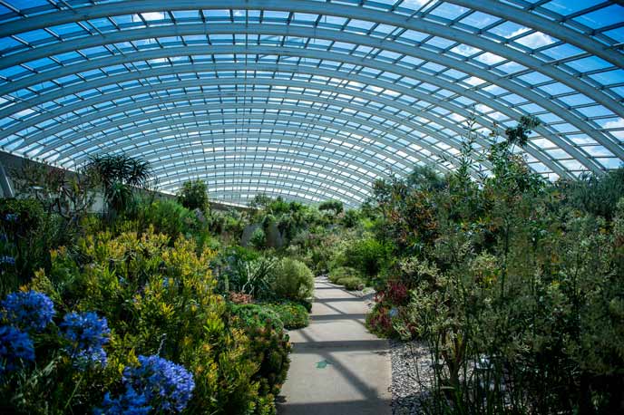 Carmarthenshire Botanical Gardens
