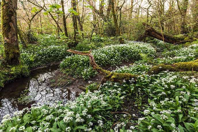 From woodland walks to formal gardens, there's plenty of places to visit in Devon.