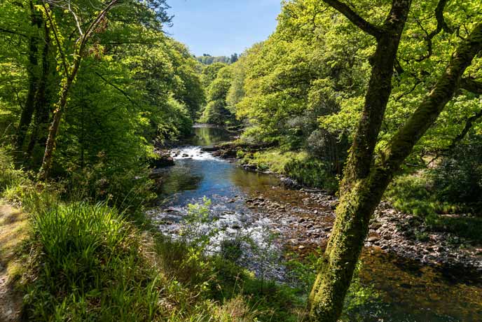 River Bovey, Dartmoor