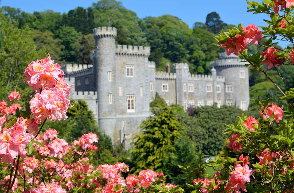 Caerhays Castle and gardens in Cornwall have an amazing collection of plants from all around the world.